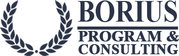 Borius Program & Consulting